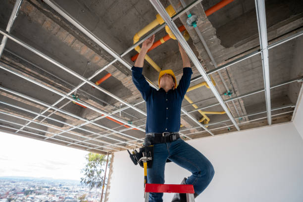 Best Emergency Plumber  in Senoia, GA